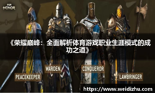《荣耀巅峰：全面解析体育游戏职业生涯模式的成功之道》
